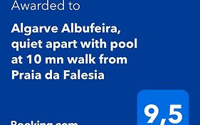 Comfortable apartment, Algarve Albufeira, 10 mn walk from Falésia beach